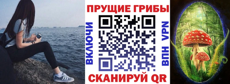 OMG ССЫЛКА  Сорск  Галлюциногенные грибы мицелий  как найти наркотики 